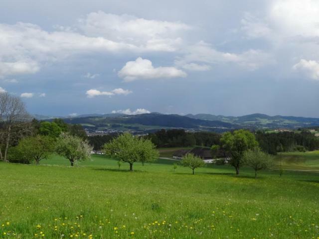 Desl'S Little Farm Apartment Waldburg Bagian luar foto