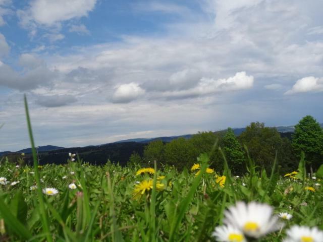 Desl'S Little Farm Apartment Waldburg Bagian luar foto