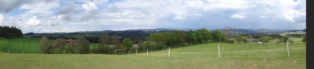 Desl'S Little Farm Apartment Waldburg Bagian luar foto