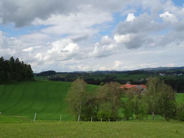 Desl'S Little Farm Apartment Waldburg Bagian luar foto